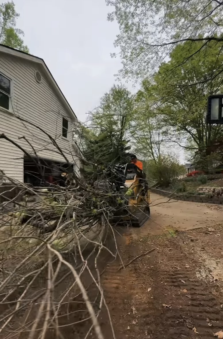 Emergency tree removal service near residential property in Menifee CA